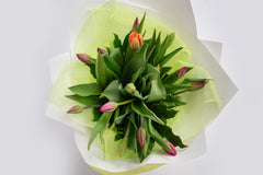 Tulip Bunch