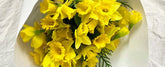 Daffodil Spring Bouquet