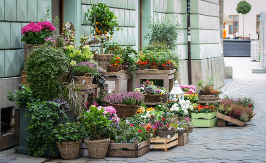 Cheap Fresh Flowers: Affordable Delivery from Your Trusted Christchurch Florist