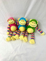 Colourful Monkey Teddy