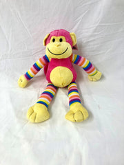 Colourful Monkey Teddy